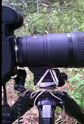 Never, ever, ever, leave your tripod home again!
