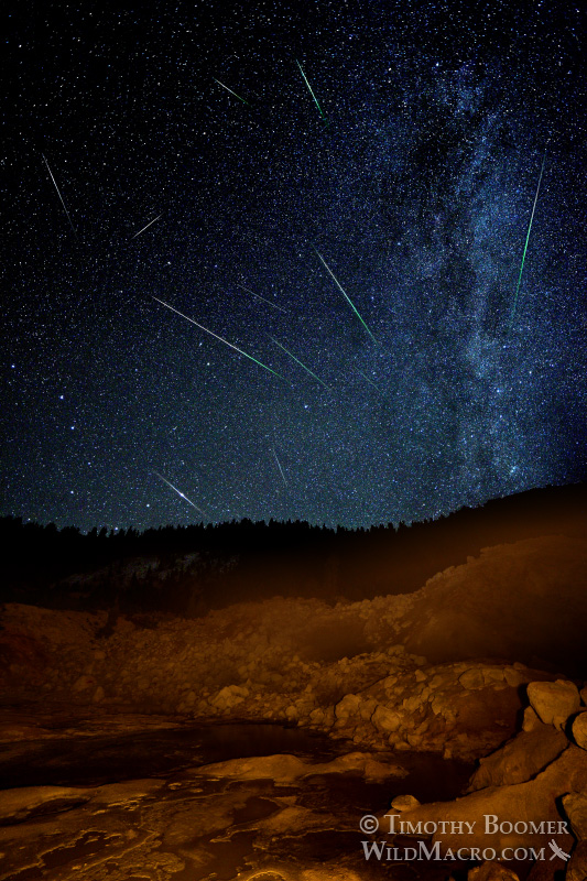 2015 Perseid meteor shower and northern arm of the Milky Way galaxy over Bumpass Hell, Lassen Volcanic National Park, CA.  Composite image with meteors captured and adjusted to reflect the Earth's rotation throughout the entire night.  The Perseids are associated with comet Swift-Tuttle and appear to radiate from the constellation Perseus. Among the constellations easily visible in this photo are the Big Dipper (which is very useful for locating the north star, Polaris) and Cassiopeia. The meteor shower's radiant, Perseus, is partially obscured by the horizon. Image ID=SCE0131