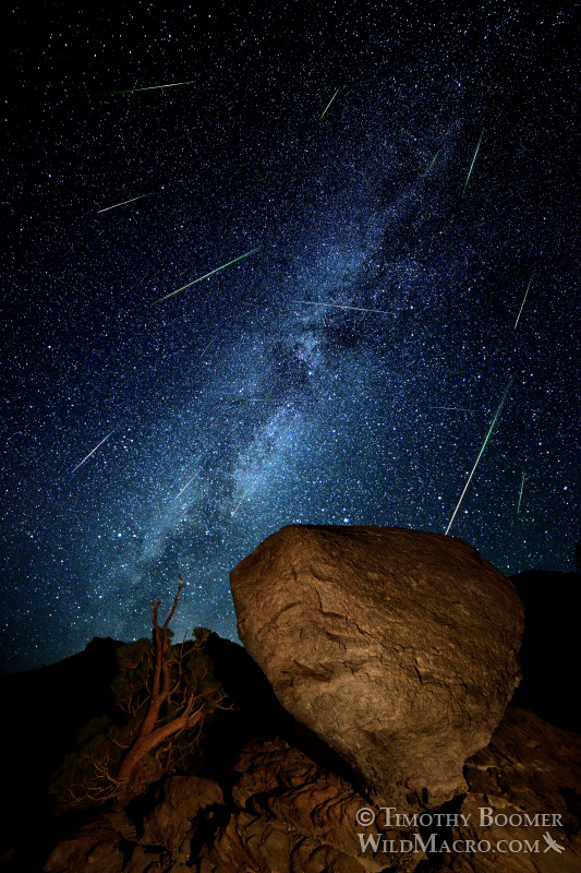 2015 Perseid meteor shower and southern arm of the Milky Way galaxy over a glacial erratic boulder in Lassen Volcanic National Park, CA.  Composite image with meteors captured and adjusted to reflect the Earth's rotation throughout the entire night.  The Perseids are associated with comet Swift-Tuttle and appear to radiate from the constellation Perseus. Image ID=SCE0132
