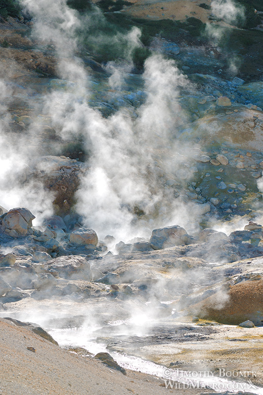 Bumpass Hell, Lassen Volcanic National Park's most impressive hydrothermal area.  Stock Photo ID=SCE0140