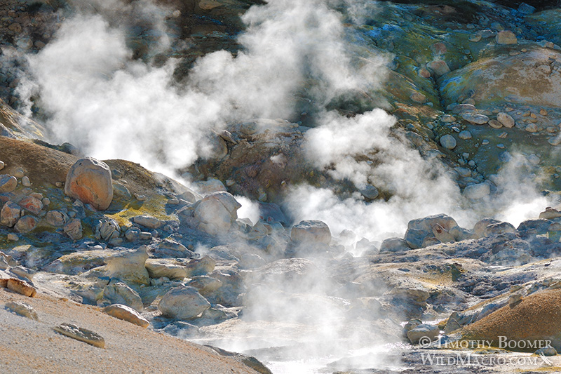 Bumpass Hell, Lassen Volcanic National Park's most impressive hydrothermal area.  Stock Photo ID=SCE0141