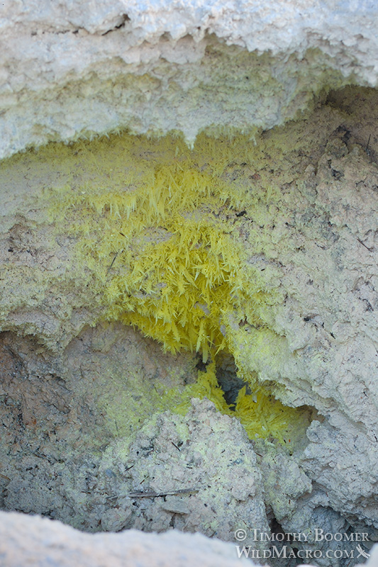 Bumpass Hell, Lassen Volcanic National Park's most impressive hydrothermal area.  Stock Photo ID=SCE0142