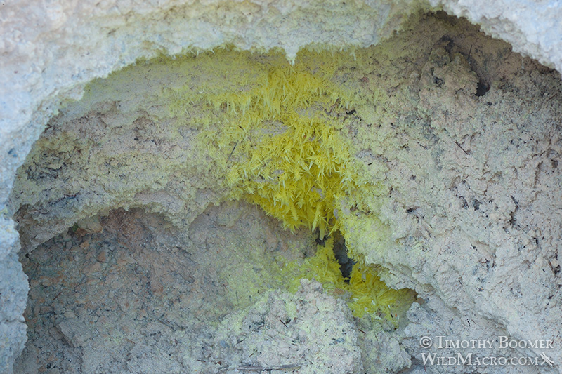 Bumpass Hell, Lassen Volcanic National Park's most impressive hydrothermal area.  Stock Photo ID=SCE0143