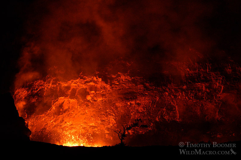 Night view of the boiling lava lake within the Halema'uma'u Crater (a pit crater located within the Kīlauea Caldera).  Hawai'i Volcanoes National Park, Hawaii, USA.  Stock Photo ID=SCE0205