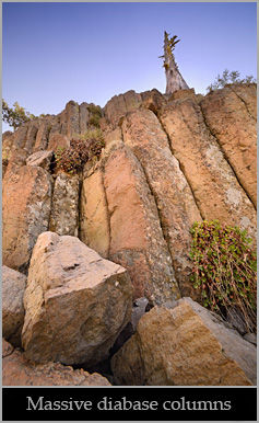 Massive diabase columns at Machado Postpile.