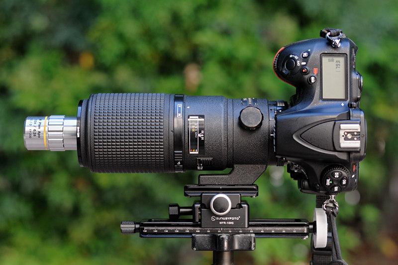 My standard photomicrography setup: Nikon D810 and Mitutoyo 10x objective using the 200mm micro-Nikkor as a converging lens. My standard photomicrography setup: Nikon D810 and Mitutoyo 10x objective using the 200mm micro-Nikkor as a converging lens.