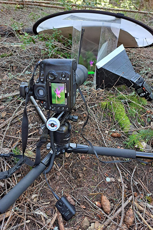 Typical setup for my flora fieldwork. Typical setup for my flora fieldwork.