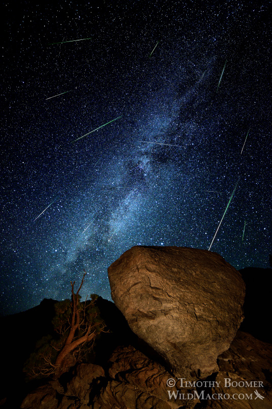 2015 Perseid meteor shower and southern arm of the Milky Way galaxy over a glacial erratic boulder in Lassen Volcanic National Park, CA. Composite image with meteors captured and adjusted to reflect the Earth's rotation throughout the entire night. The Perseids are associated with comet Swift-Tuttle and appear to radiate from the constellation Perseus. Image ID=SCE0132 2015 Perseid meteor shower and southern arm of the Milky Way galaxy over a glacial erratic boulder in Lassen Volcanic National Park, CA. Composite image with meteors captured and adjusted to reflect the Earth's rotation throughout the entire night. The Perseids are associated with comet Swift-Tuttle and appear to radiate from the constellation Perseus. Image ID=SCE0132
