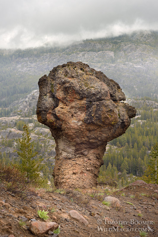 Unique volcanic rock formation near Carson Spur, Eldorado National Forest, El Dorado County, CA. Stock Photo ID=SCE0148 Unique volcanic rock formation near Carson Spur, Eldorado National Forest, El Dorado County, CA. Stock Photo ID=SCE0148