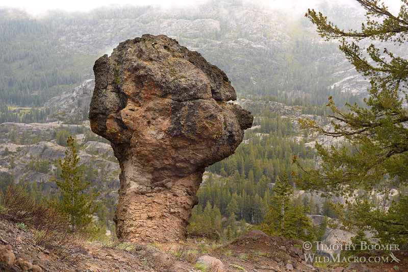 Unique volcanic rock formation near Carson Spur, Eldorado National Forest, El Dorado County, CA. Stock Photo ID=SCE0149 Unique volcanic rock formation near Carson Spur, Eldorado National Forest, El Dorado County, CA. Stock Photo ID=SCE0149