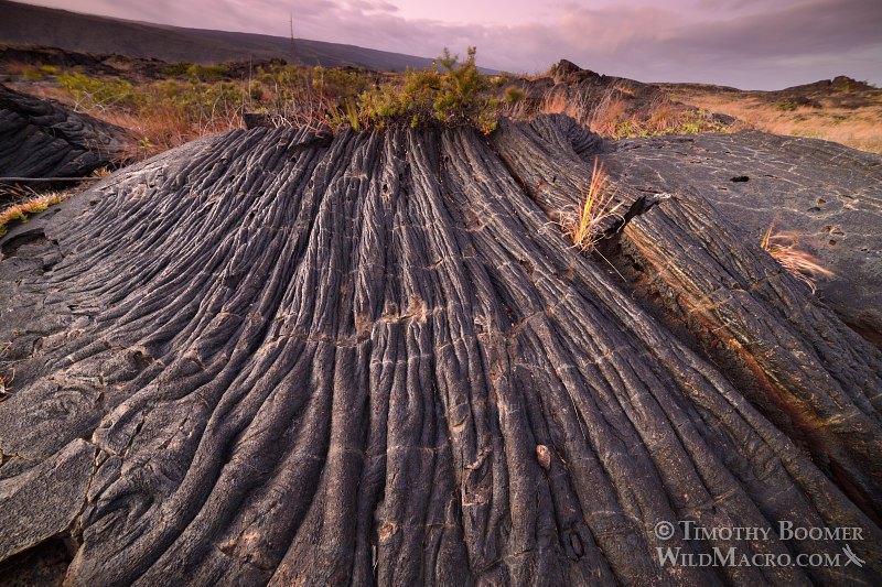 Hardened lava flow at twilight. Hawai'i Volcanoes National Park, Hawaii, USA. Stock Photo ID=SCE0203 Hardened lava flow at twilight. Hawai'i Volcanoes National Park, Hawaii, USA. Stock Photo ID=SCE0203