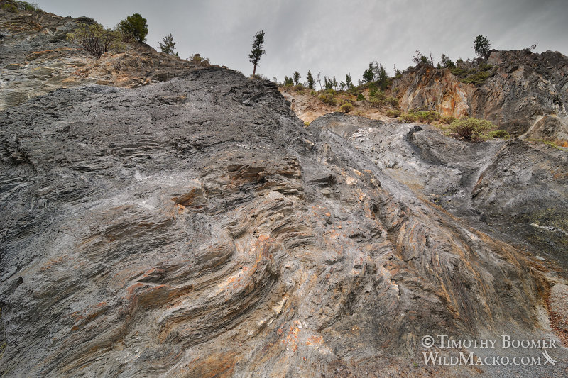Unique geological features and rock formations abound in the Plumas National Forest. Highway 70, near Paxton, Plumas County, CA. Stock Photo ID=SCE0153 Unique geological features and rock formations abound in the Plumas National Forest. Highway 70, near Paxton, Plumas County, CA. Stock Photo ID=SCE0153