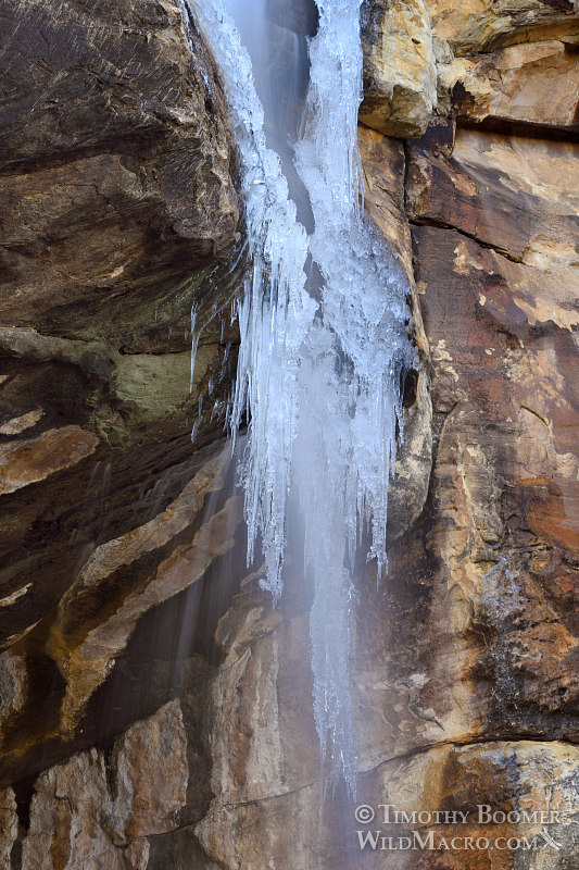 Lost Creek Waterfall, alternate perspective emphasizing the lower icicles. Red Rock Canyon National Conservation Area, Las Vegas, Clark County, Mojave Desert, Nevada. Stock Photo ID=SCE0197 Lost Creek Waterfall, alternate perspective emphasizing the lower icicles. Red Rock Canyon National Conservation Area, Las Vegas, Clark County, Mojave Desert, Nevada. Stock Photo ID=SCE0197