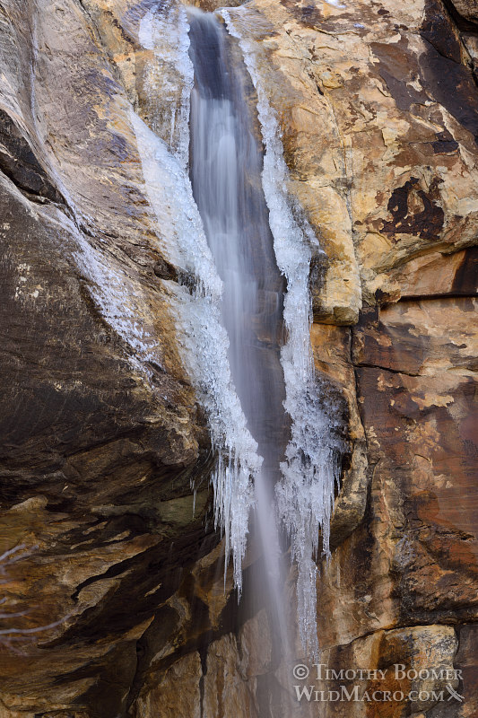 Lost Creek Waterfall, partially frozen during winter. Red Rock Canyon National Conservation Area, Las Vegas, Clark County, Mojave Desert, Nevada. Stock Photo ID=SCE0198 Lost Creek Waterfall, partially frozen during winter. Red Rock Canyon National Conservation Area, Las Vegas, Clark County, Mojave Desert, Nevada. Stock Photo ID=SCE0198