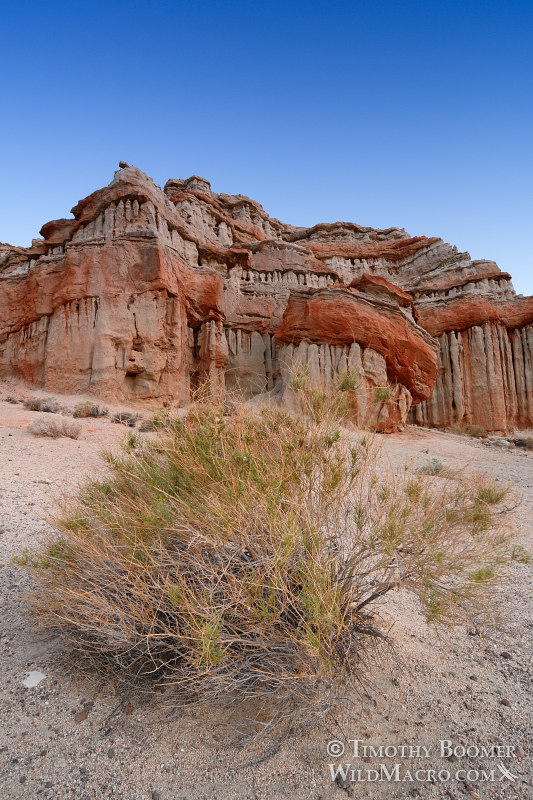 Turk's Turban at sunrise. Red Rock Canyon State Park, Kern County, Mojave Desert, California. Stock Photo ID=SCE0180 Turk's Turban at sunrise. Red Rock Canyon State Park, Kern County, Mojave Desert, California. Stock Photo ID=SCE0180