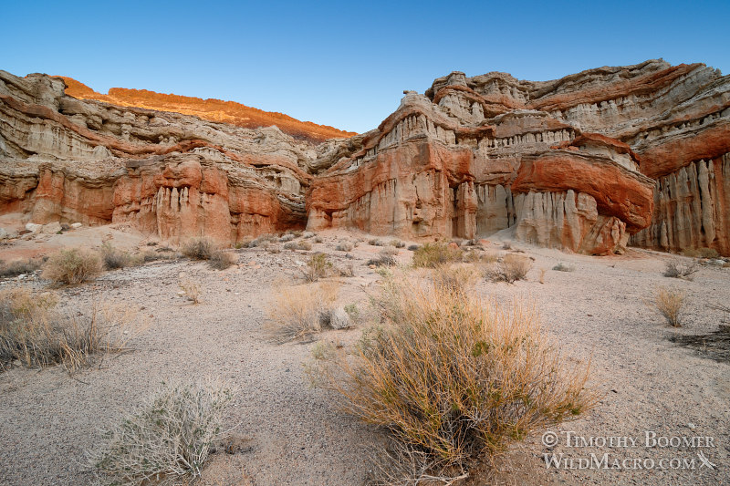 Red Rock Canyon State Park at dawn. Kern County, Mojave Desert, California. Stock Photo ID=SCE0181 Red Rock Canyon State Park at dawn. Kern County, Mojave Desert, California. Stock Photo ID=SCE0181