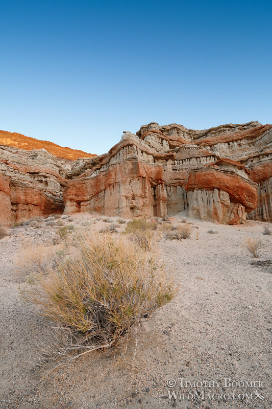Red Rock Canyon State Park at dawn. Kern County, Mojave Desert, California. Stock Photo ID=SCE0182 Red Rock Canyon State Park at dawn. Kern County, Mojave Desert, California. Stock Photo ID=SCE0182
