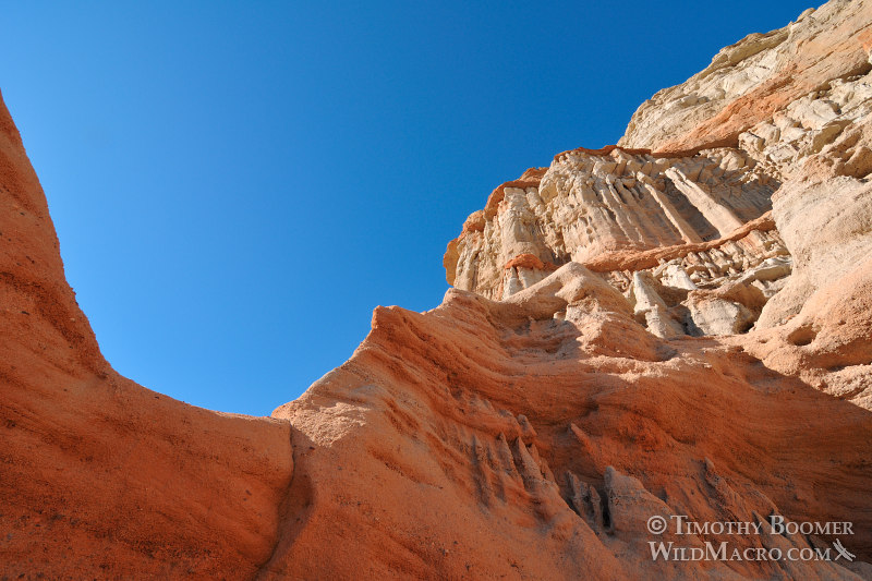 Red Rock Canyon State Park, spectacular and vibrantly-colored hoodoos. Kern County, Mojave Desert, California. Stock Photo ID=SCE0183 Red Rock Canyon State Park, spectacular and vibrantly-colored hoodoos. Kern County, Mojave Desert, California. Stock Photo ID=SCE0183