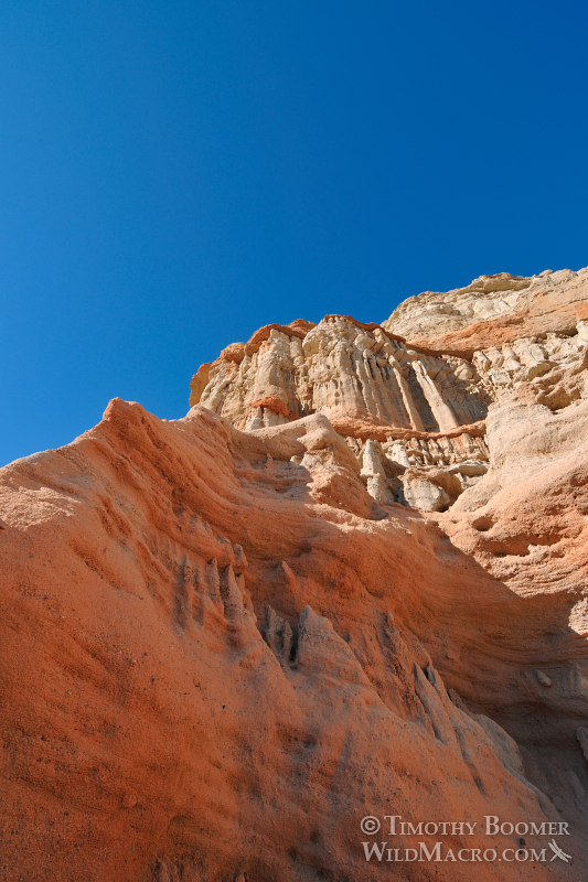 Red Rock Canyon State Park, spectacular and vibrantly-colored hoodoos. Kern County, Mojave Desert, California. Stock Photo ID=SCE0184 Red Rock Canyon State Park, spectacular and vibrantly-colored hoodoos. Kern County, Mojave Desert, California. Stock Photo ID=SCE0184
