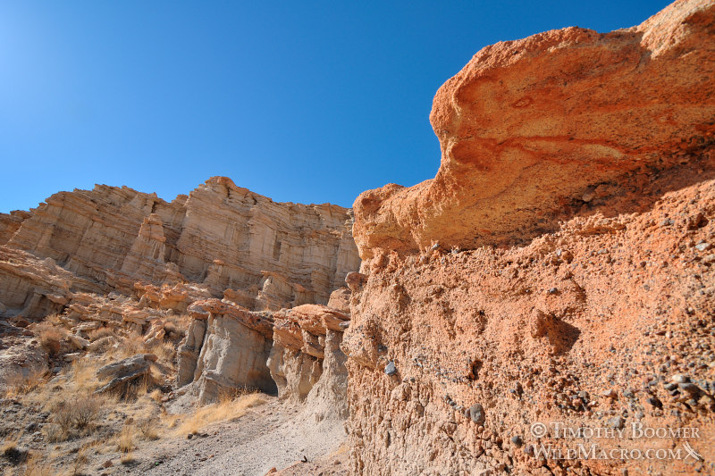 Red Rock Canyon State Park, magnificent rock formations with layers currently angled at 17 degrees. Kern County, Mojave Desert, California. Stock Photo ID=SCE0185 Red Rock Canyon State Park, magnificent rock formations with layers currently angled at 17 degrees. Kern County, Mojave Desert, California. Stock Photo ID=SCE0185