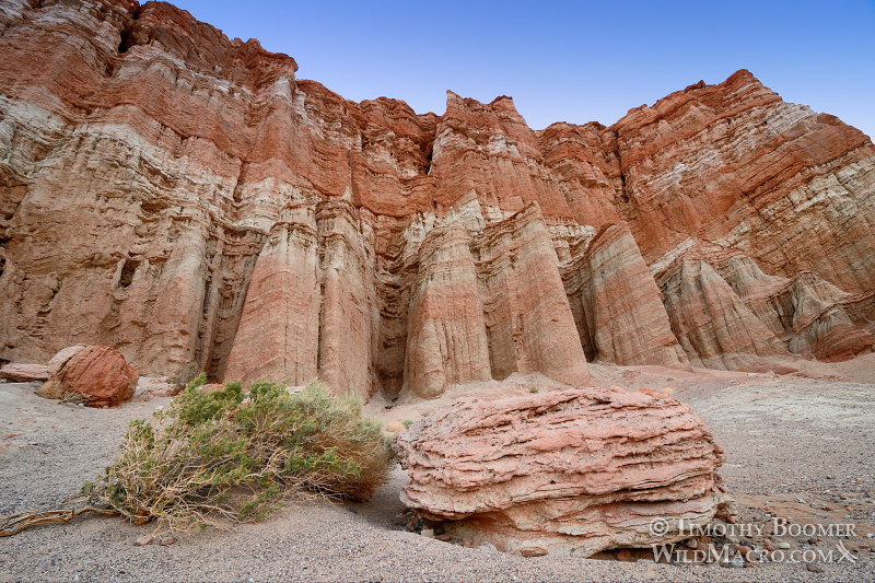 Red Rock Canyon State Park, Red Cliffs area at dusk. Kern County, Mojave Desert, California. Stock Photo ID=SCE0187 Red Rock Canyon State Park, Red Cliffs area at dusk. Kern County, Mojave Desert, California. Stock Photo ID=SCE0187