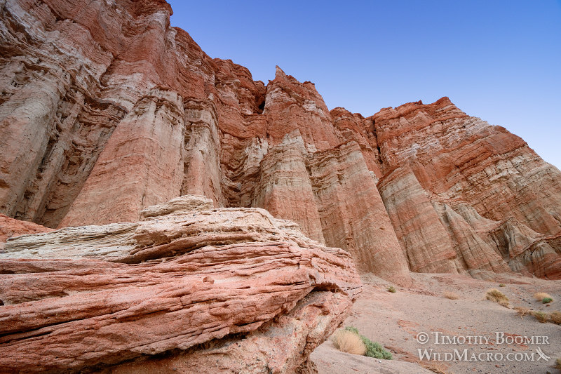Red Rock Canyon State Park, Red Cliffs area at dusk. Kern County, Mojave Desert, California. Stock Photo ID=SCE0188 Red Rock Canyon State Park, Red Cliffs area at dusk. Kern County, Mojave Desert, California. Stock Photo ID=SCE0188