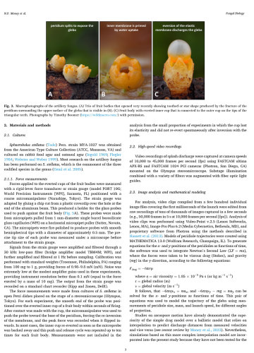 Cannonball fungus (Sphaerobolus stellatus) published Fungal Biology Scientific Journal.