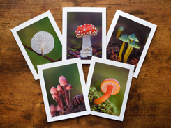 Photo Greeting Cards